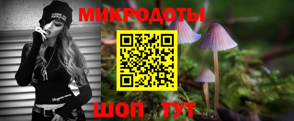 Галлюциногенные грибы GOLDEN TEACHER Новочеркасск